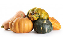 Zucchini,  pumpkins