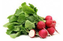 Radish