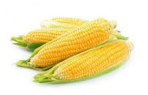 Corn