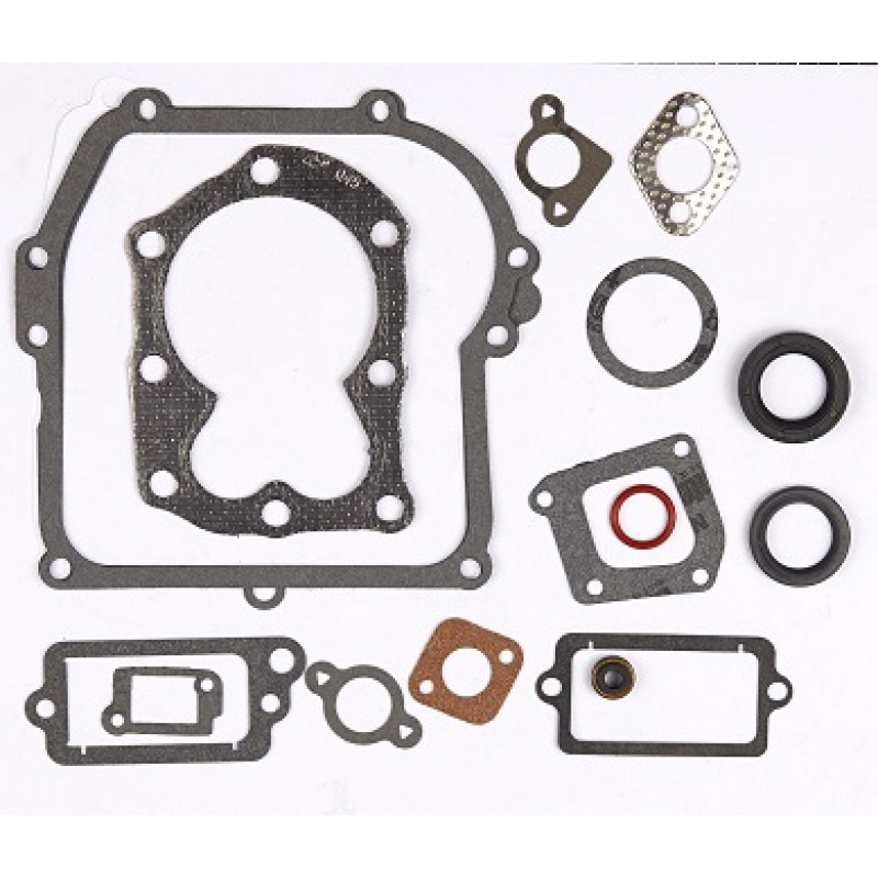 Briggs&stratton  BLĪVJU KPL.9D902 (590777)
