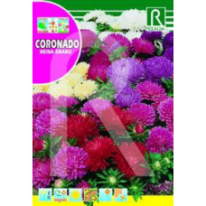 Aster low mixture Reina enano 3g