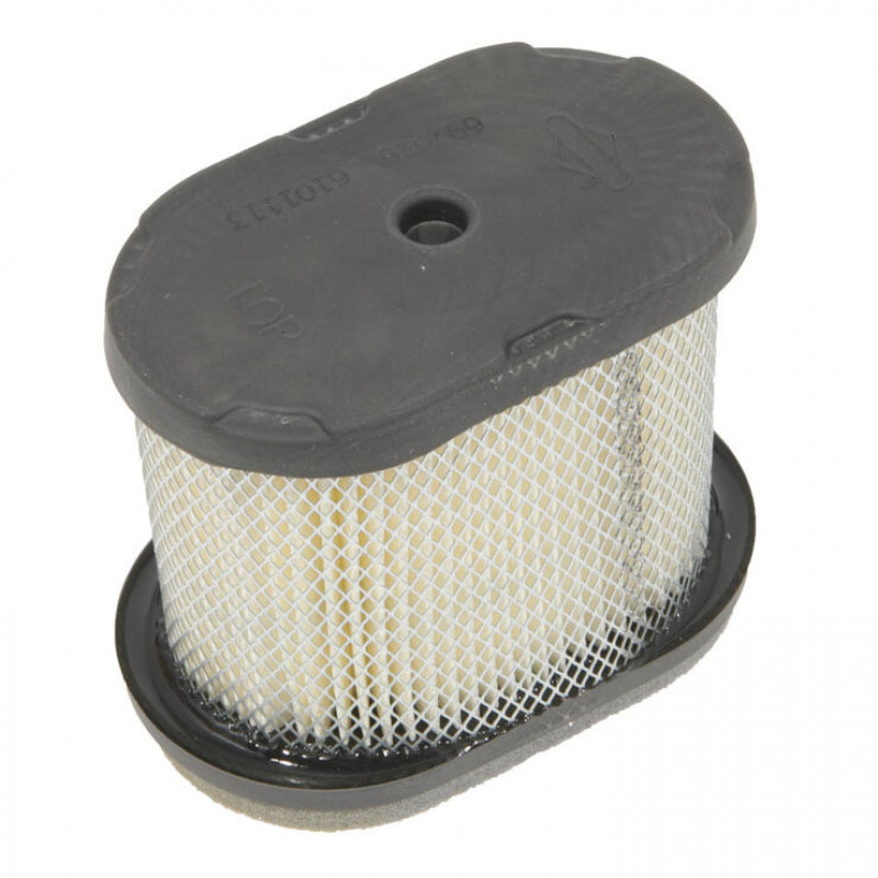 Air filter Briggs&Stratton (697029)