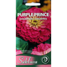 Zinnia dahlias PURPLE PRINCE 1g