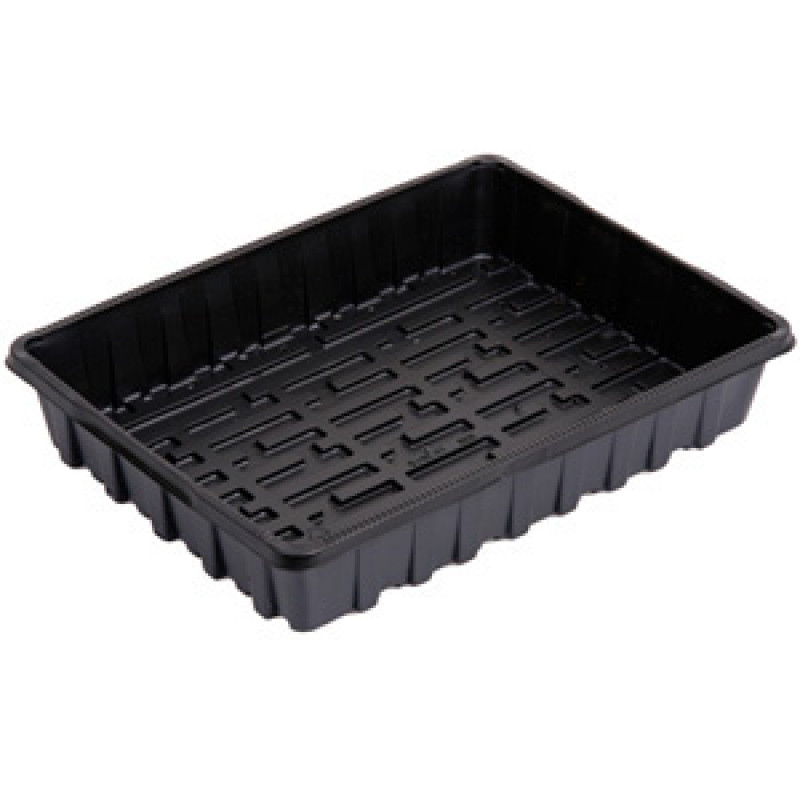 Seedling box without holes 39x29x5.5