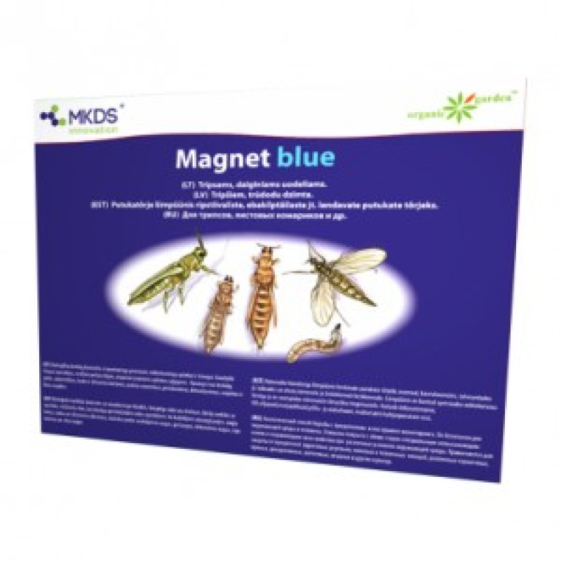 Insect sticky trap for thrips, horns Magnet blue 1pc
