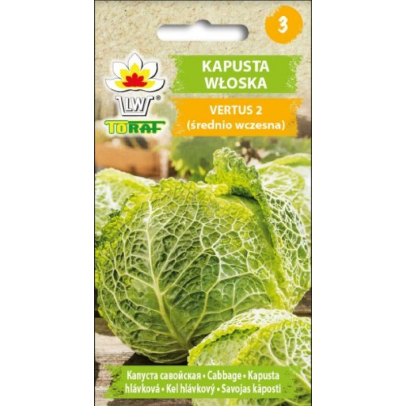 Cabbage Savoy Vertus 2 2g
