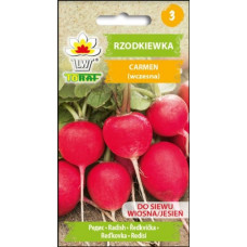 Redīsi apaļie Carmen 10g