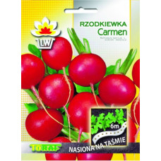 Radish round on a ribbon Carmen 6m