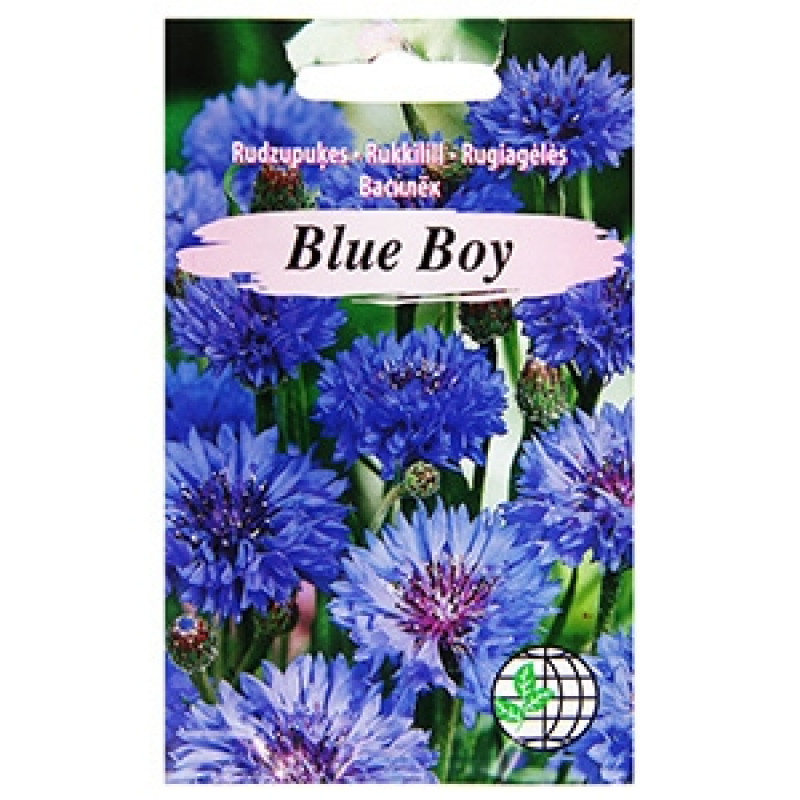 Васильки голубые Blue Boy