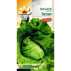 Salad ice cream Tarzan 1g