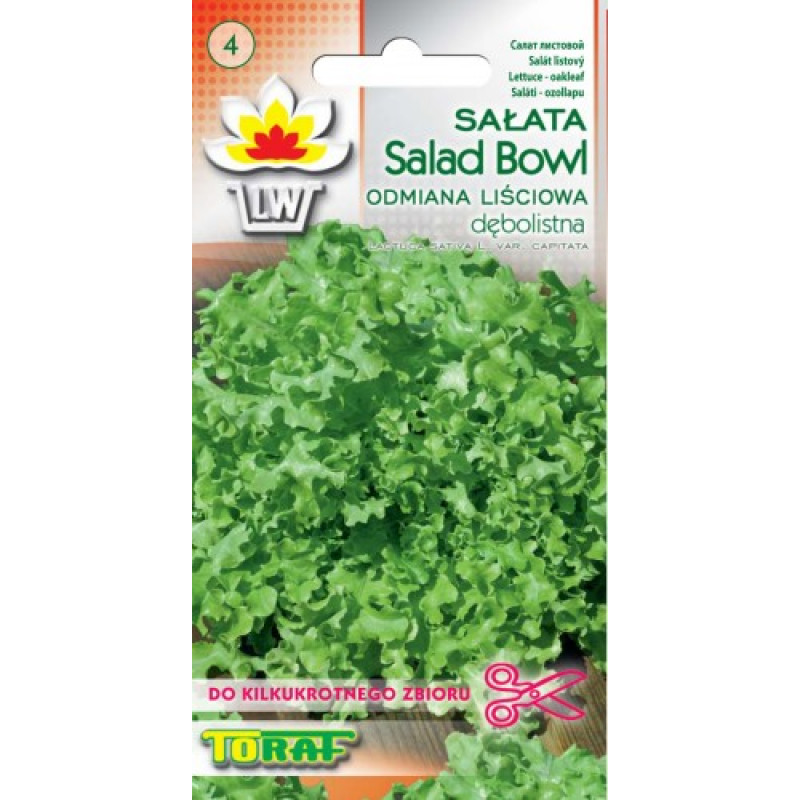 Salad oak leaves Salad bowl 1g