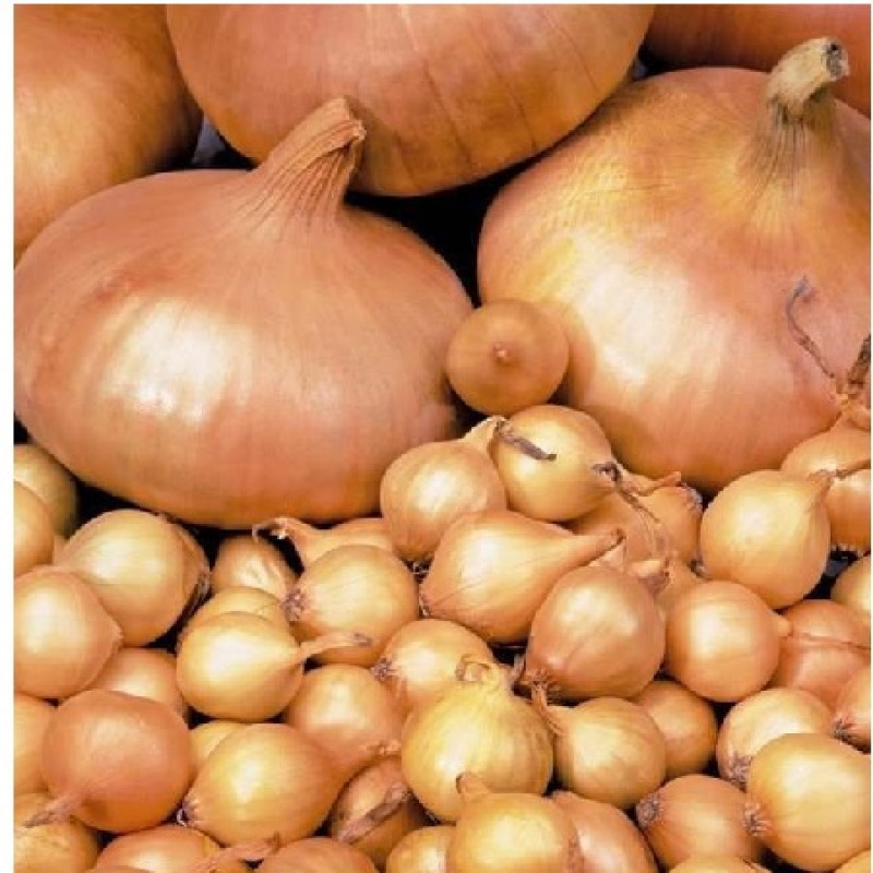 Onions Corrado 14/21mm 1kg
