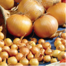 Sīpoli loku dzīšanai 0,5kg