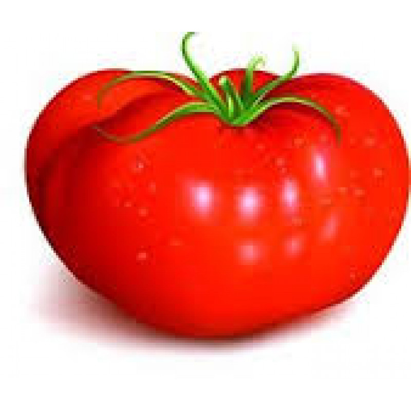 Tomatoes Belfast F1