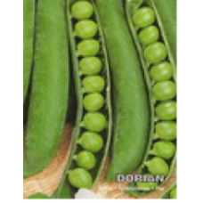 Peas Dorian F1 100 grams