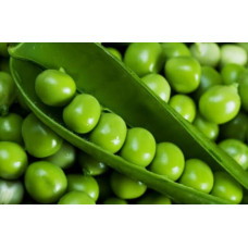 Peas Prelado F1 100 grams