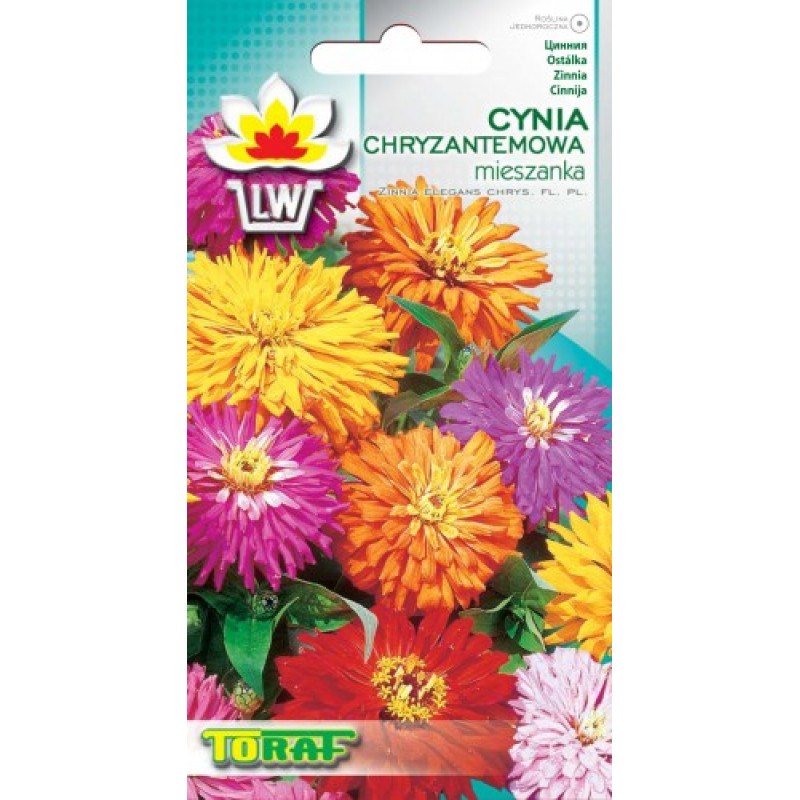 Zinnia chrysanthemum flower mix 1g