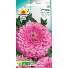 Zinnia dahlia pink 1g