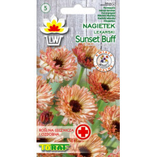 Kliņģerītes Sunset Buff 1g