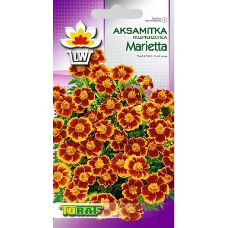 Marigold low Marietta 1g