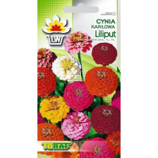 Zinnia dahlia low Liliput 0.5g