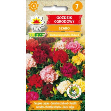 Carnations Szabo mix 0.5g