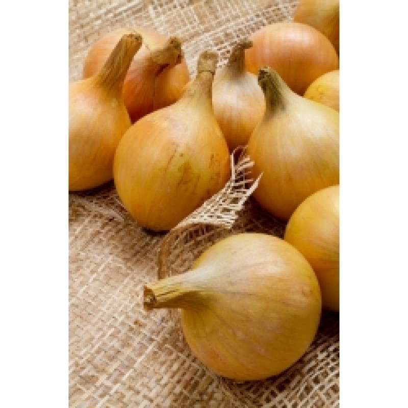 Onions GLOBO 1g