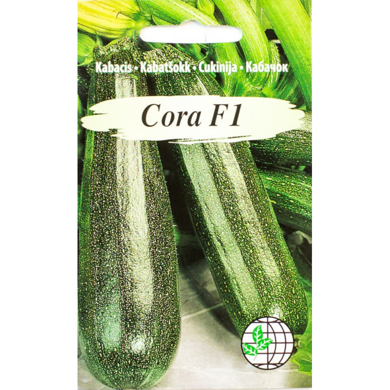 Zucchini Cora F1 AMC 5 seeds