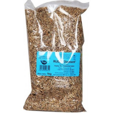 Green manure Rye sowing Diament 1kg