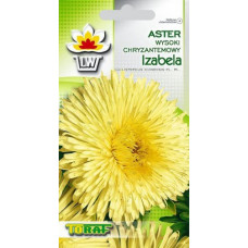 Asteres krizantēmu Izabella 1g