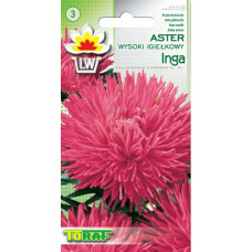 Asteres adatu Inga 1g
