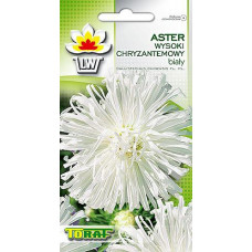 Asters chrysanthemums white 1g