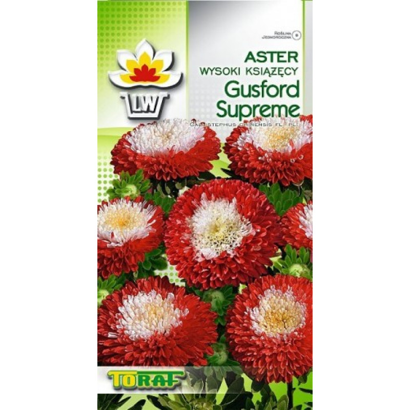 Aster pompon Gusford Supreme 1g