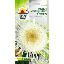 Aster Princess Cymes 1g