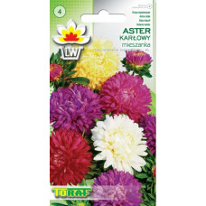 Aster low mixture 1g
