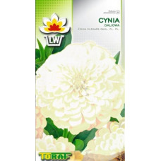 Zinnia dahlia white 1g