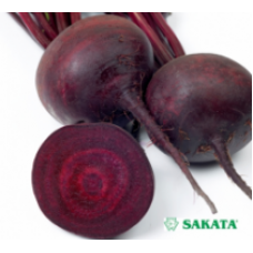 Beetroot Cardeal F1 ≈300 seeds