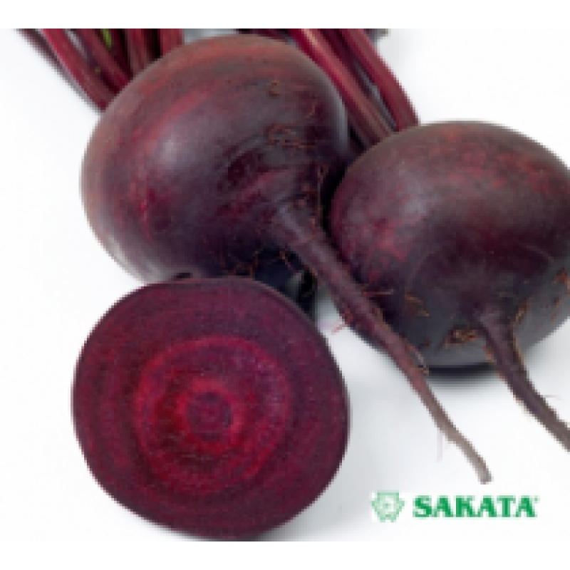 Beetroot Cardeal F1 ≈300 seeds