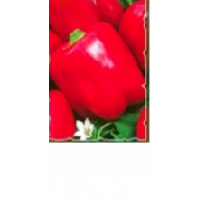 Paprika (lauka) Roberta F1 10 sēklas