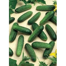 Cucumbers Mirabelle F1 10 seeds