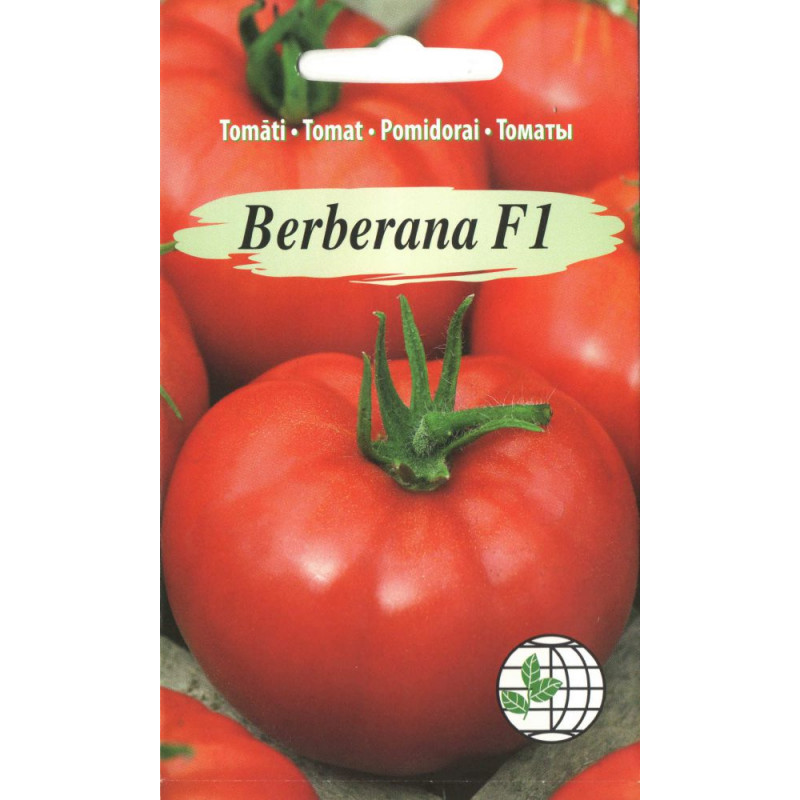 Tomatoes Berberana F1 AMC, 7seed.