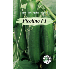 Gurķi silt. Picolino F1 AMC 5s