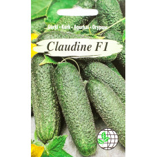 Gurķi Claudine F1 AMC 12 sēkl