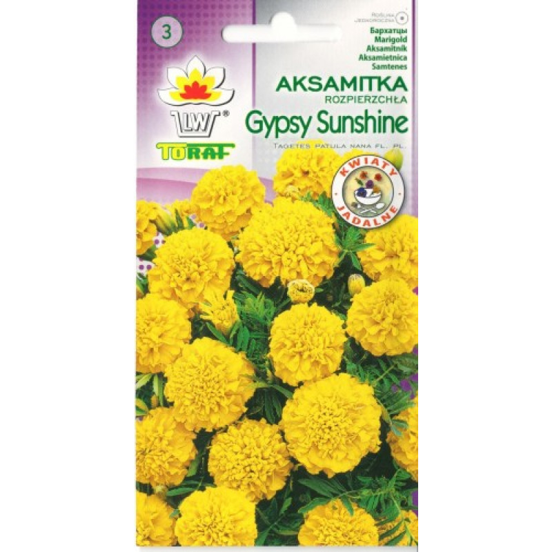 Marigold low Gypsy Sunshine 1g