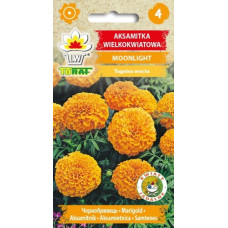 Marigold big flower Mona yellow 1g