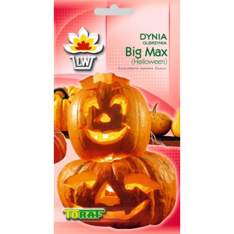 Pumpkin Big Max Halloween 3g